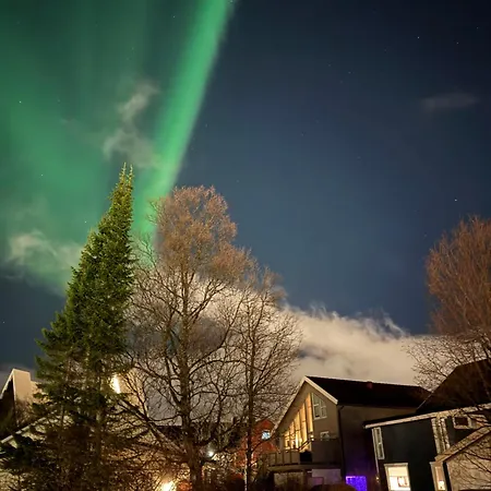 Luxury Vip Northern Lights Trip